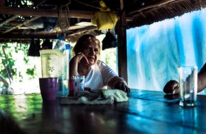quarantine journeys amazzonia
